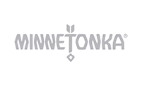 minnetonka