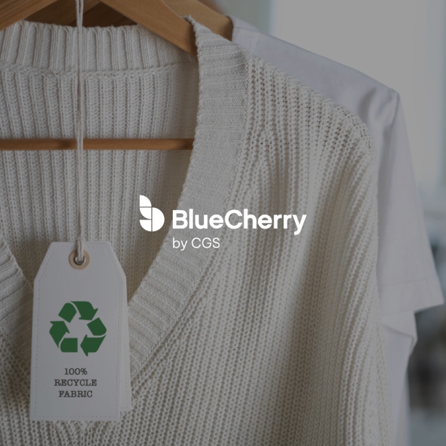 Integrating ESG into Fashion Supply Chains: a Comprehensive Approach 