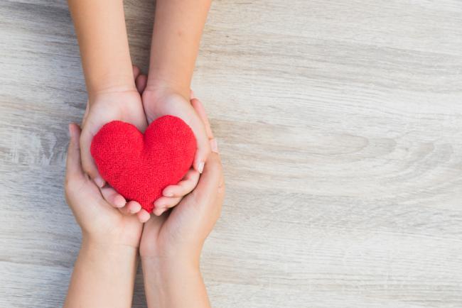 CGS Romania Holiday Donations CSR