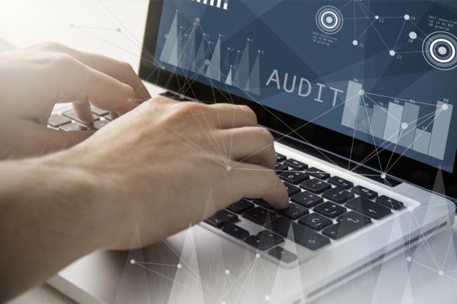 IT audits, IT outsourcing, IT disaster preparation