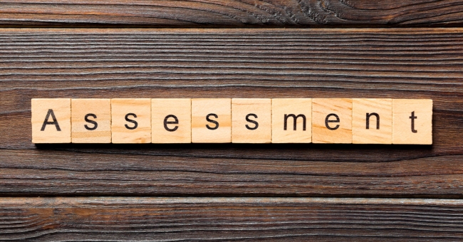 How to Develop an Enterprise-level L and D Needs Assessment Assessment word in blocks