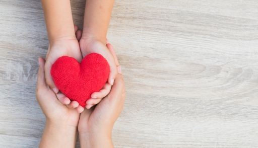 CGS Romania Holiday Donations CSR