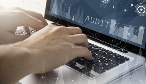 IT audits, IT outsourcing, IT disaster preparation