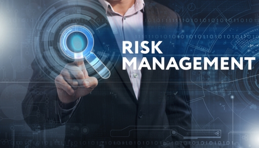 IT Risk Management Image